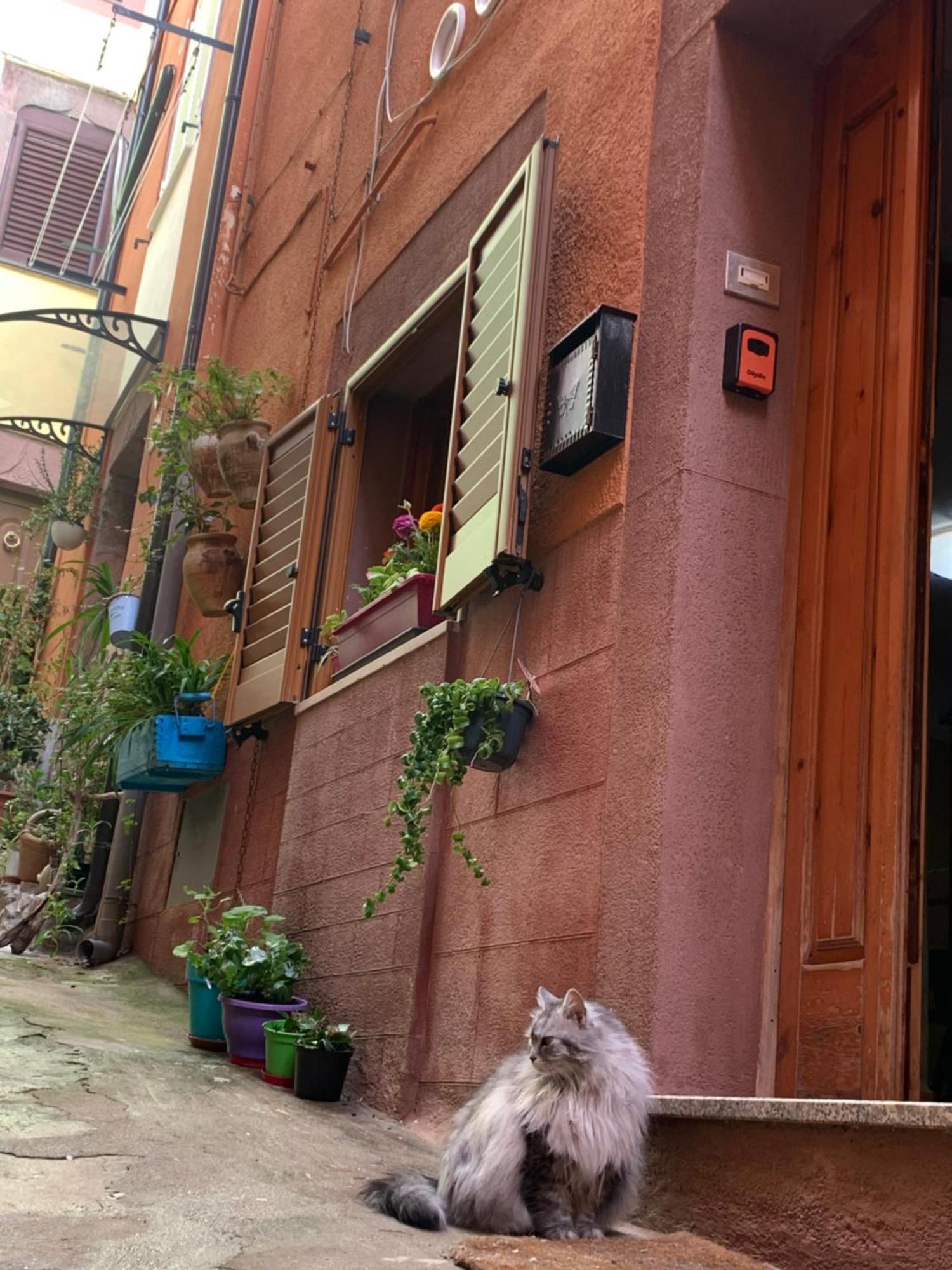 Da Ida Hotell Bosa Exteriör bild